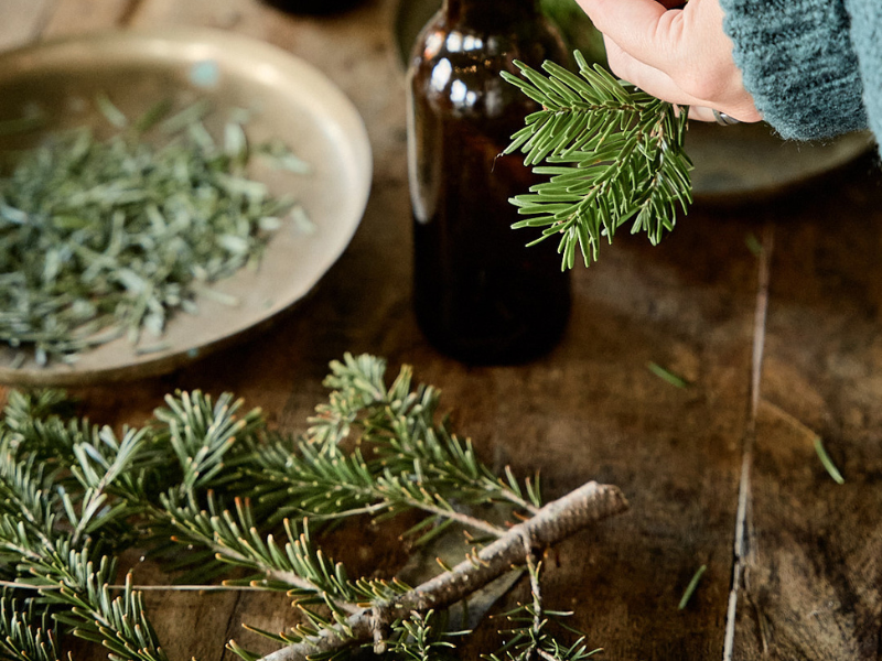 kerstboom recyclen kerstboom inleveren gratis bier lowlander