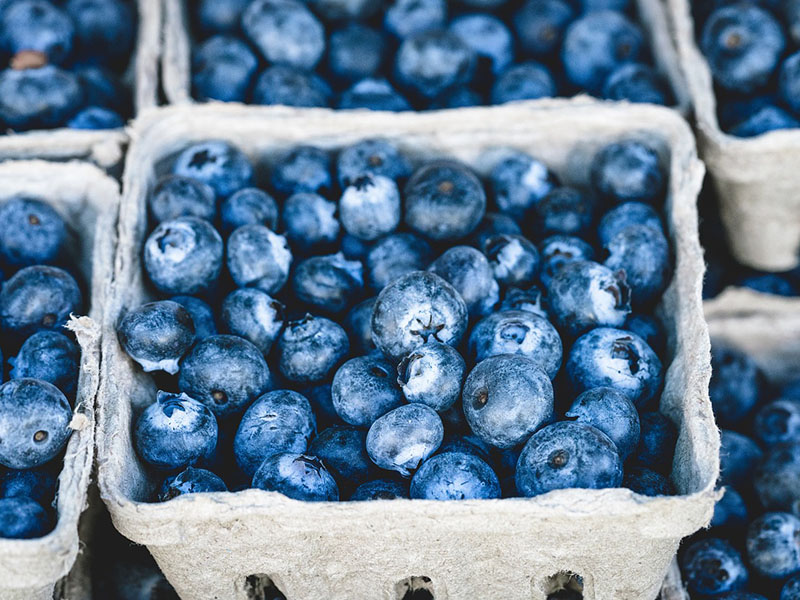 Blue berry - blauwe bessen gezond 