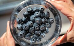 blue berry voordelen