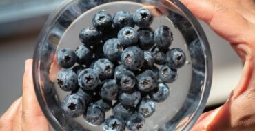 blue berry voordelen