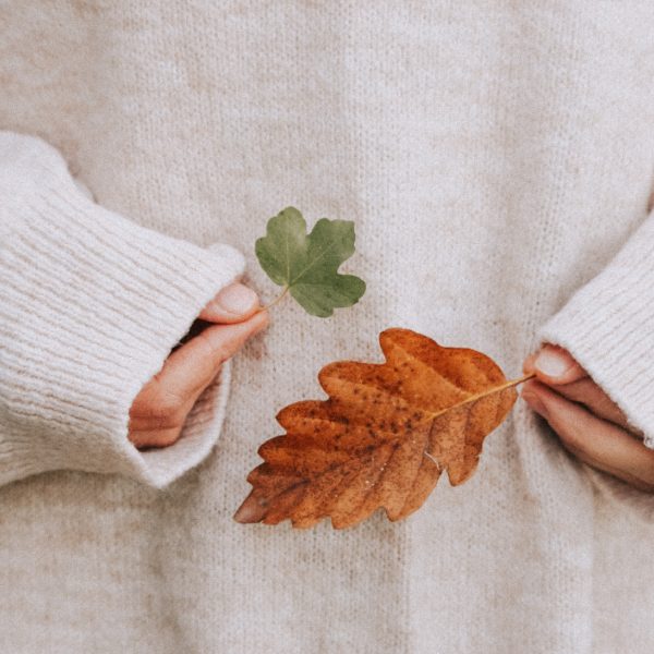 herfst