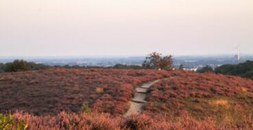 populairste wandelroutes nederland