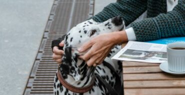 restaurants in amsterdam waar je hond welkom is