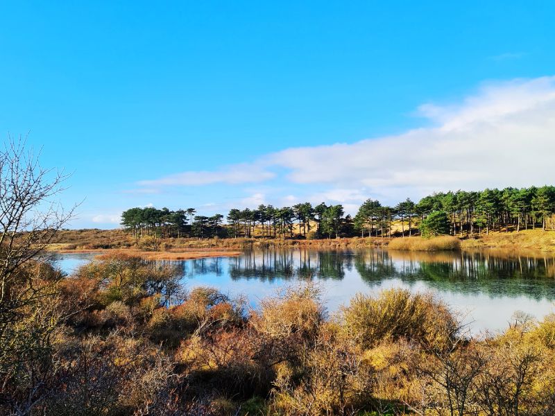 populairste-wandelroutes-Nederland-foto-Vivian-Secreve.