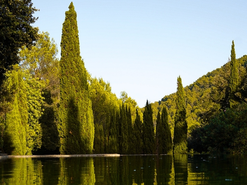 Natuur Mallorca energetische massage dromen