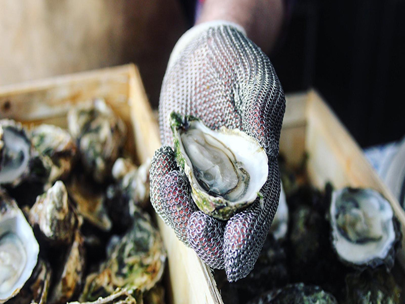 International Oyster Day In de Agenda The Daily Dutchy JP Oyster Bar