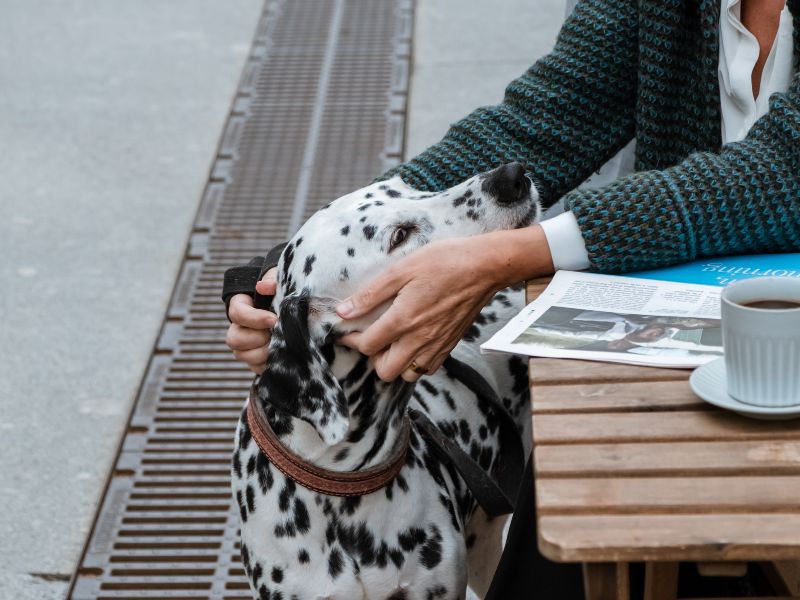 restaurants in amsterdam waar je hond welkom is