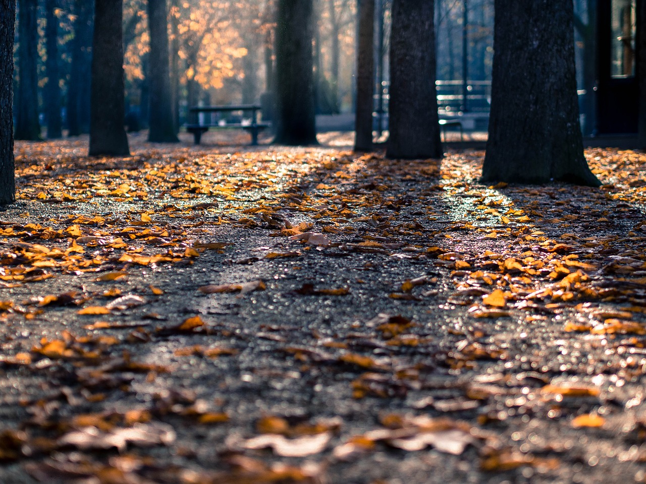 herfst