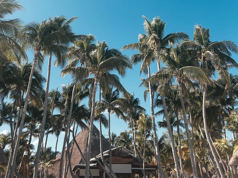winterzon bestemmingen, mexico, winterdip, de zon op zoeken