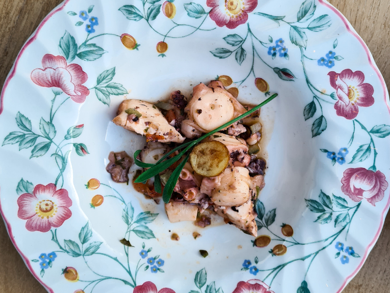 octopus sjas