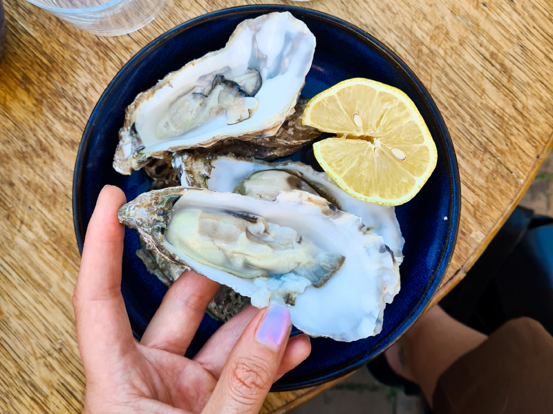 oesters gezond oester weetjes