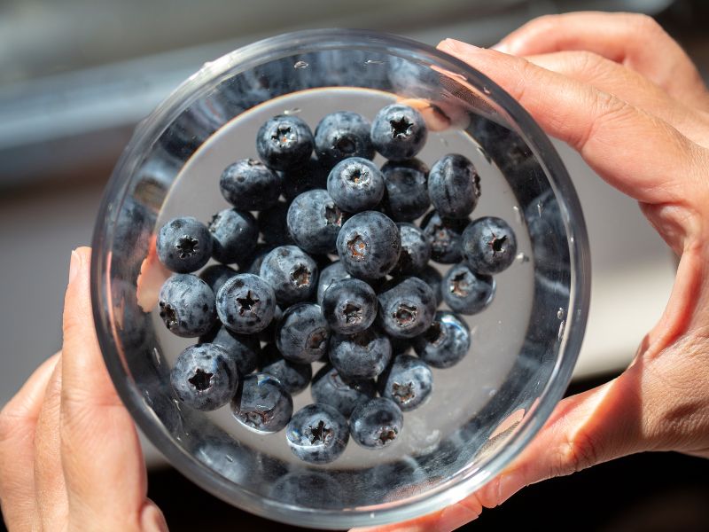 blue berry voordelen