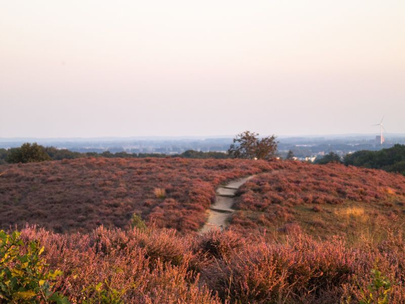 populairste wandelroutes nederland
